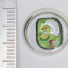 Orange "Animal Cell" Earrings - Image 2